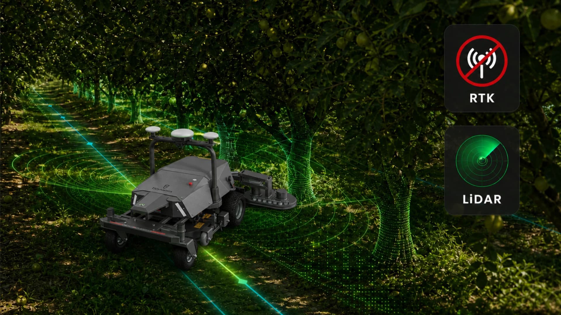 Stay on Track Under Trees.
