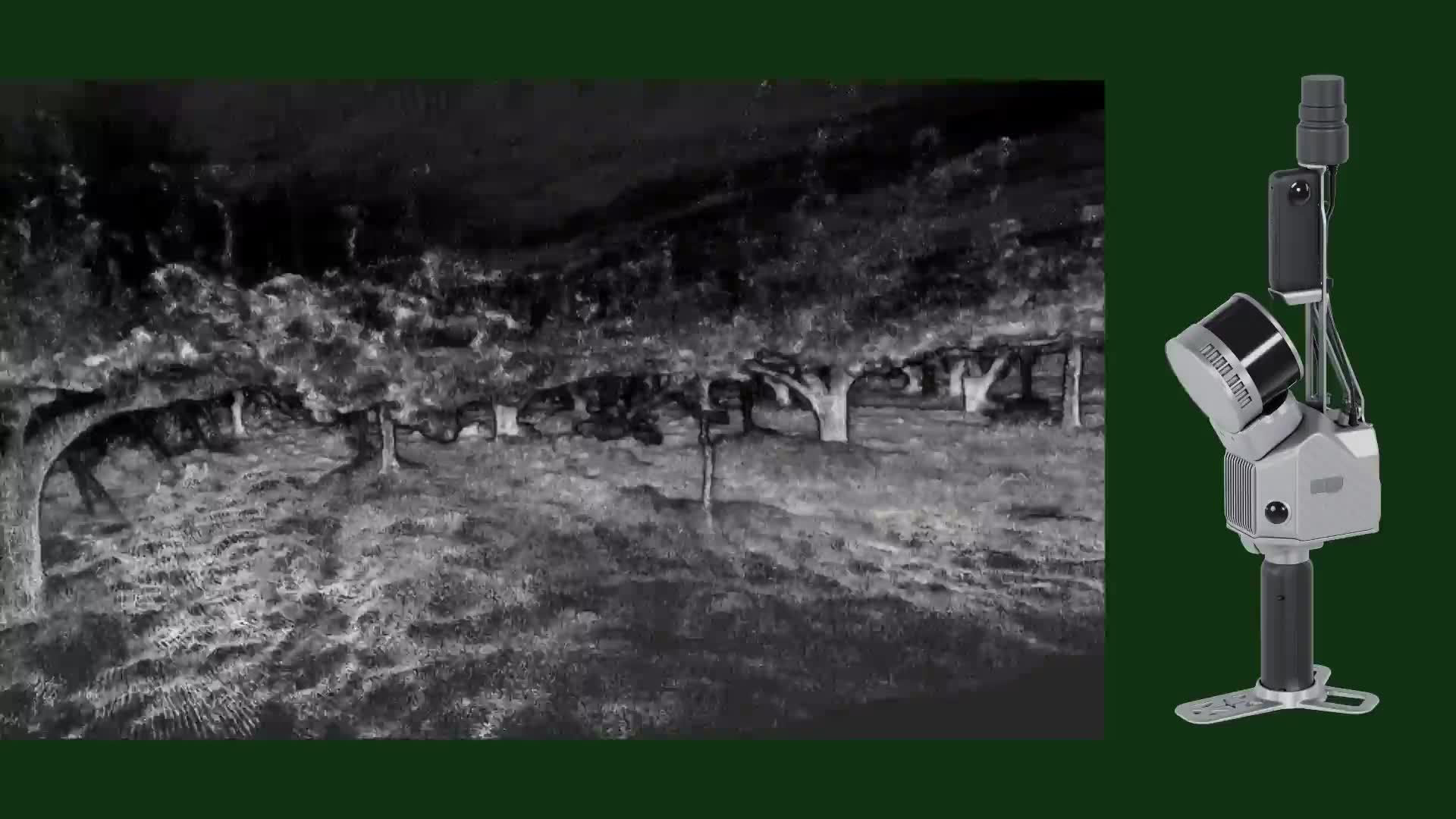 Scan Your Orchard