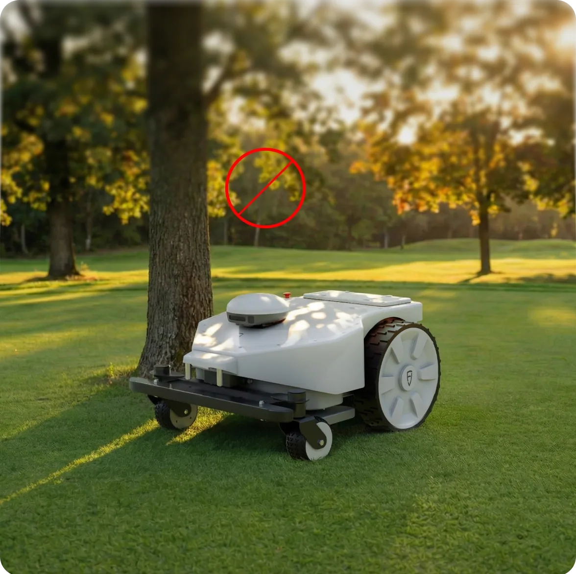 Professional Lawn Management Made Affordable.